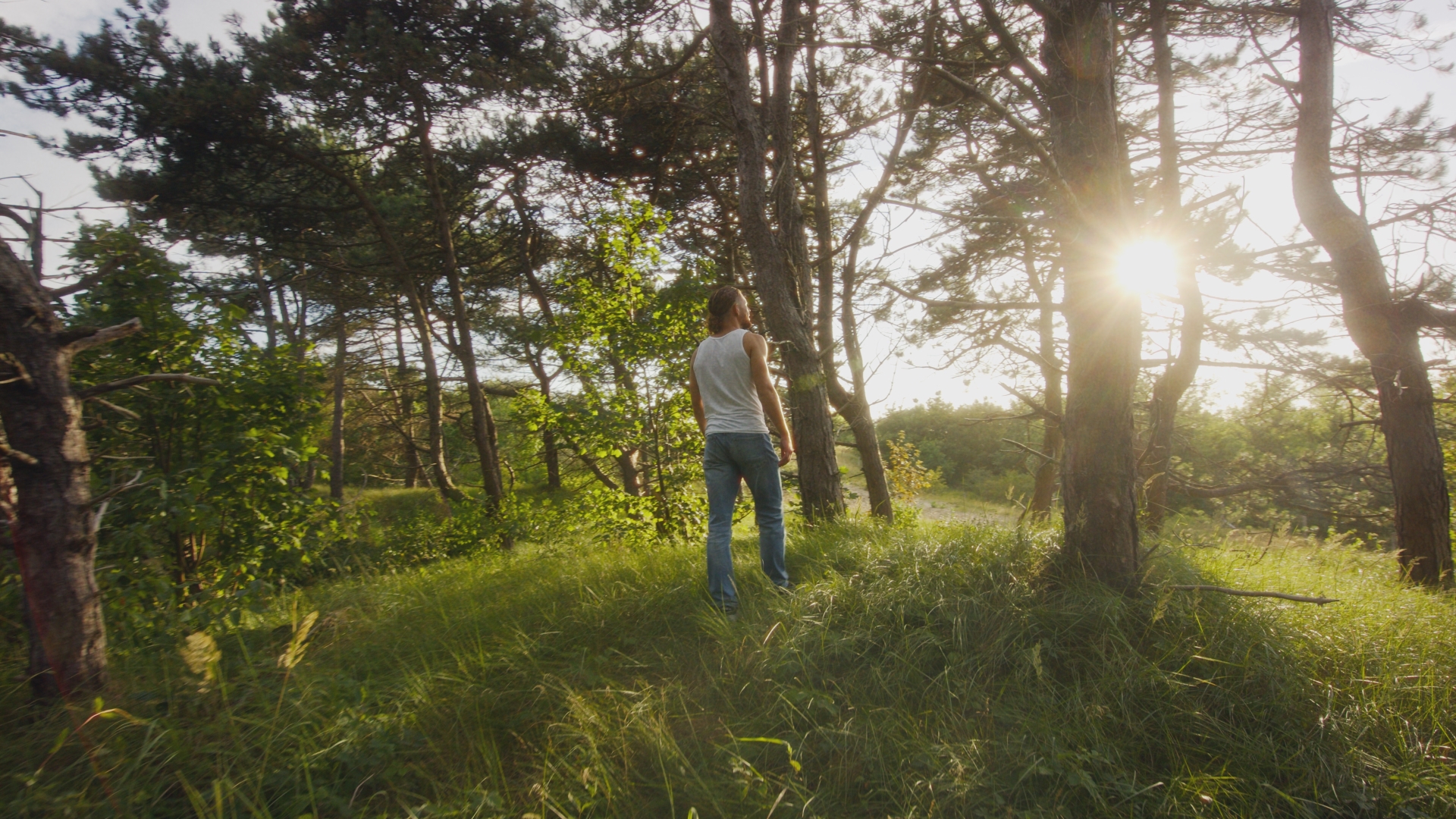 Ik Leef Leven – ex-ar